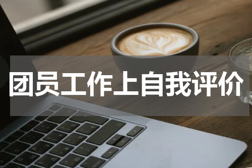 团员工作上自我评价