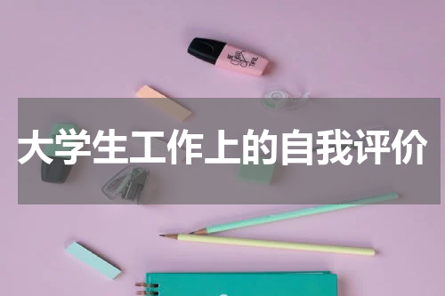 大学生工作上的自我评价