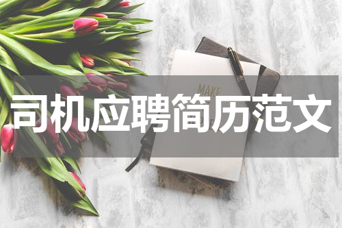 司机应聘简历范文
