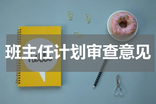 班主任计划审查意见