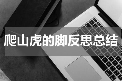 爬山虎的脚反思总结