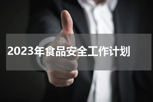 2023年食品安全工作计划