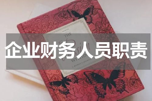 企业财务人员职责