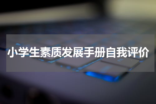 小学生素质发展手册自我评价