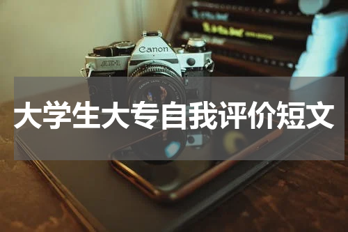 大学生大专自我评价短文
