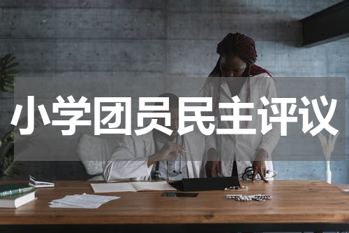 小学团员民主评议