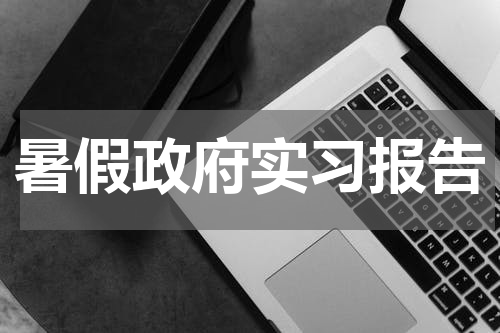 暑假政府实习报告