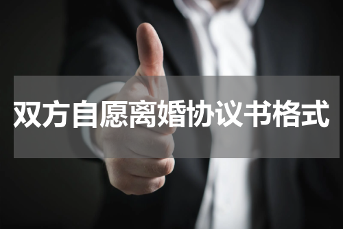 双方自愿离婚协议书格式