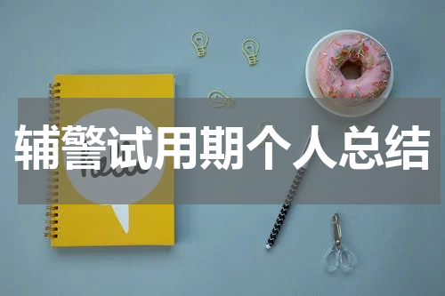 辅警试用期个人总结