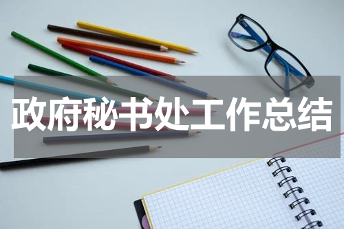 政府秘书处工作总结