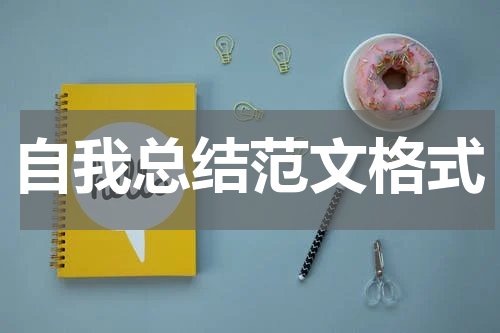 自我总结范文格式