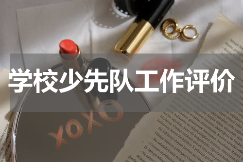 学校少先队工作评价