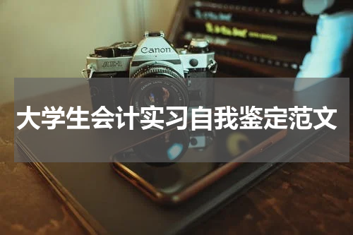 大学生会计实习自我鉴定范文
