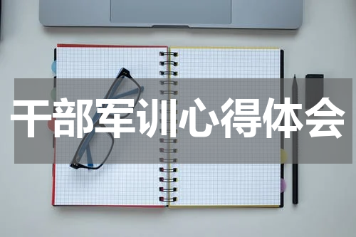 干部军训心得体会