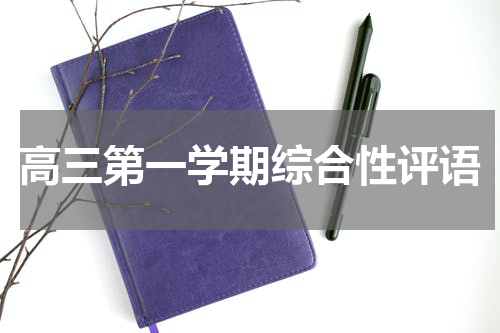 高三第一学期综合性评语
