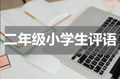 二年级小学生评语