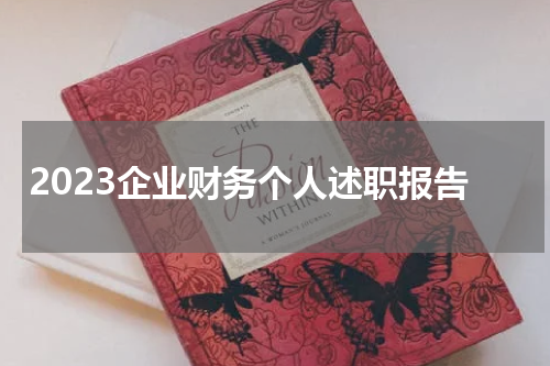 2023企业财务个人述职报告