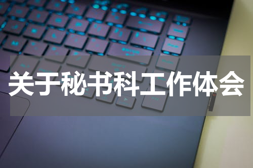 关于秘书科工作体会