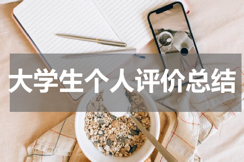 大学生个人评价总结