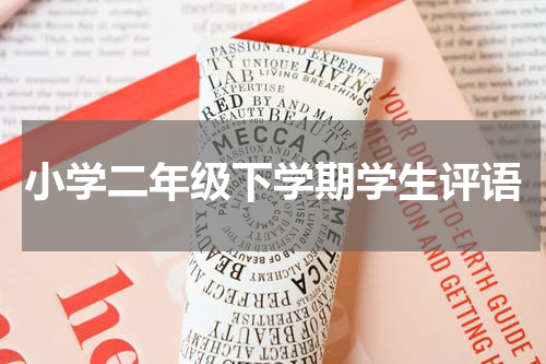 小学二年级下学期学生评语