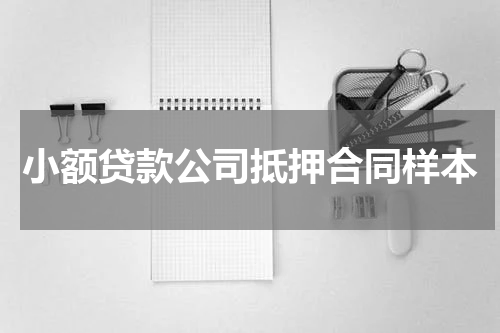 小额贷款公司抵押合同样本