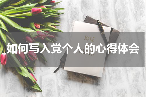如何写入党个人的心得体会