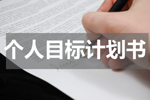个人目标计划书