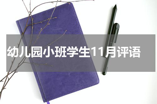 幼儿园小班学生11月评语