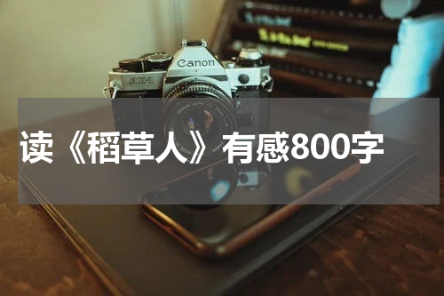 读《稻草人》有感800字