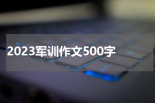 2023军训作文500字
