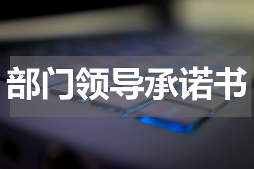 部门领导承诺书