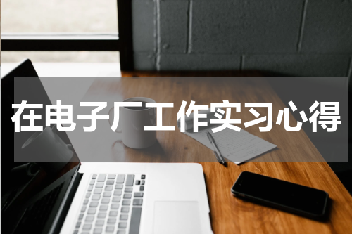 在电子厂工作实习心得