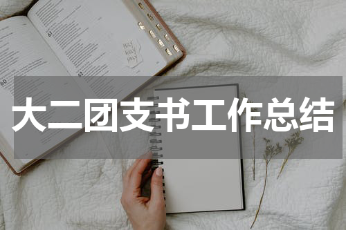 大二团支书工作总结