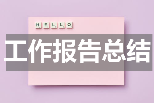 工作报告总结