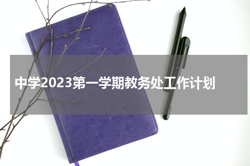 中学2023第一学期教务处工作计划