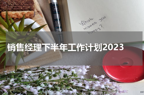 销售经理下半年工作计划2023