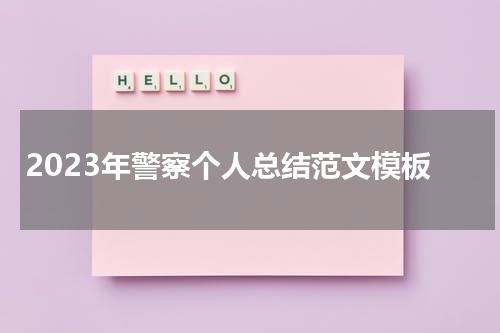 2023年警察个人总结范文模板