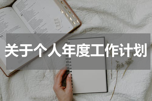 关于个人年度工作计划