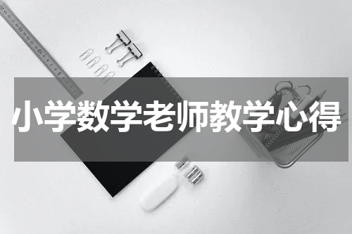 小学数学老师教学心得