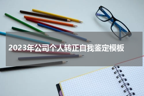2023年公司个人转正自我鉴定模板