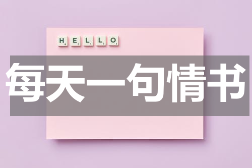 每天一句情书