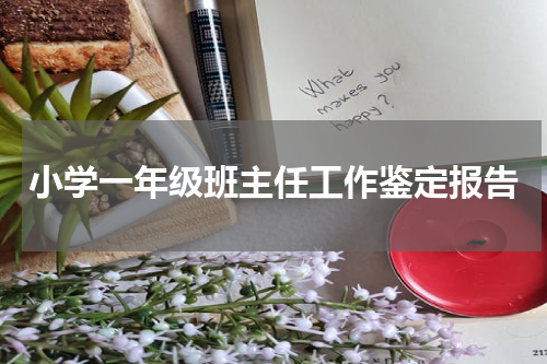 小学一年级班主任工作鉴定报告