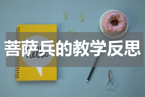 菩萨兵的教学反思
