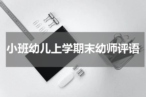 小班幼儿上学期末幼师评语