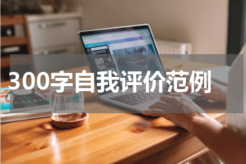 300字自我评价范例