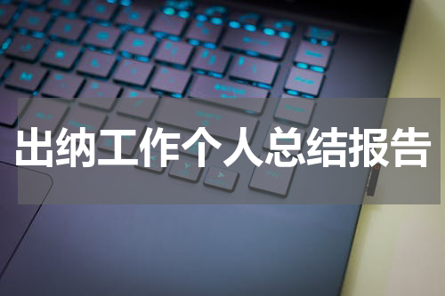 出纳工作个人总结报告