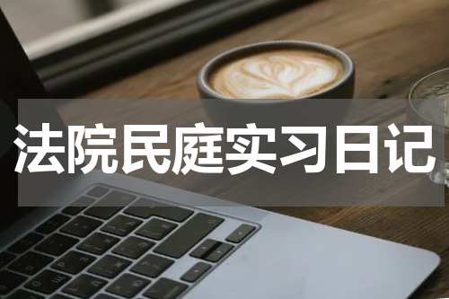 法院民庭实习日记