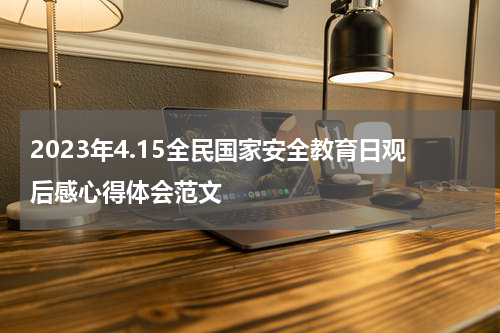 2023年4.15全民国家安全教育日观后感心得体会范文
