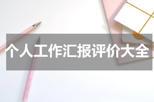 个人工作汇报评价大全