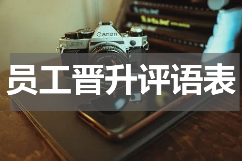 员工晋升评语表